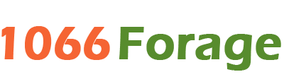 1066 forage log