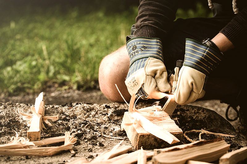 courses in bushcraft and forestry courses in bushcraft and forestry